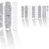 Unleazhed Unscratch - Film de protection du cadre Monstera blanc mat