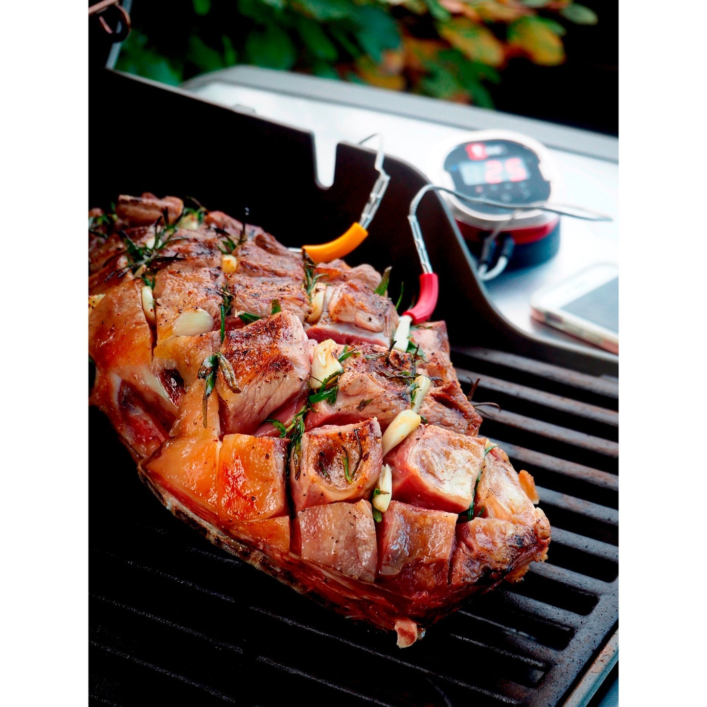 Weber Igrill 2