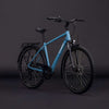 Cube visitant un bluebird'n'grey