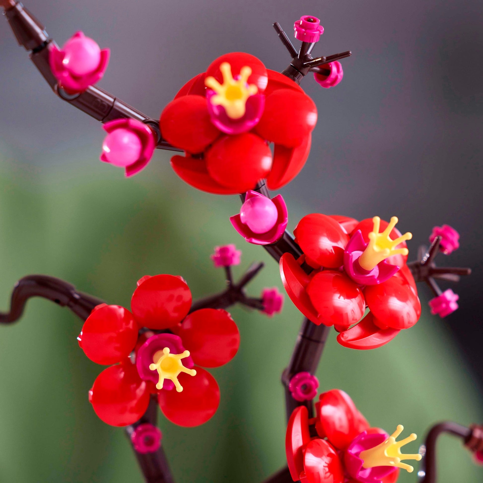 LEGO LEGO Botanicals 10369 Abricot japonais