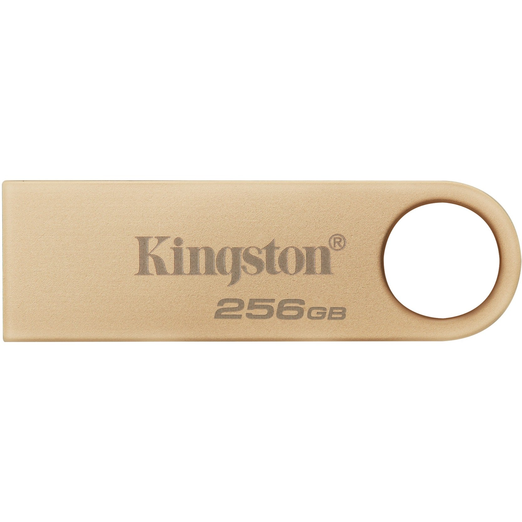 Kingston DataTraveler SE9 G3 256 Go