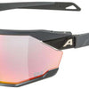 Alpina twist six qv - lunettes de sport