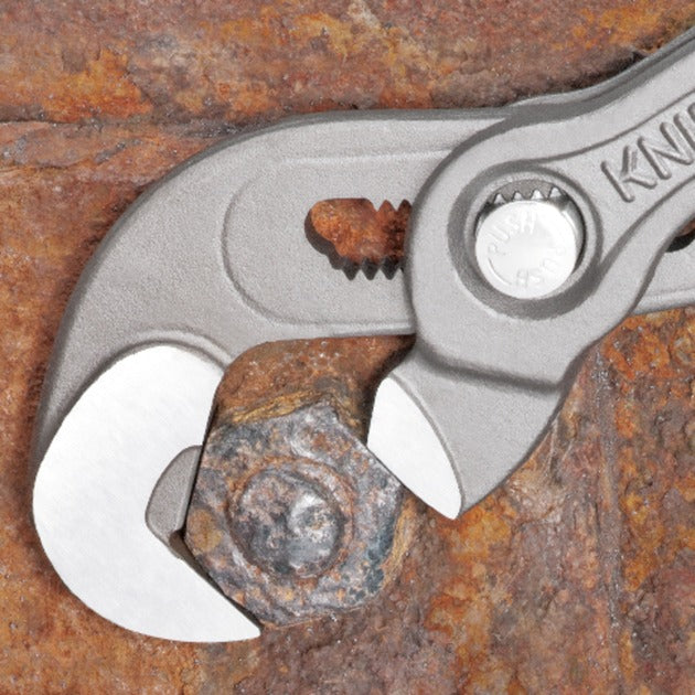Tang Tang Raptor 8741250