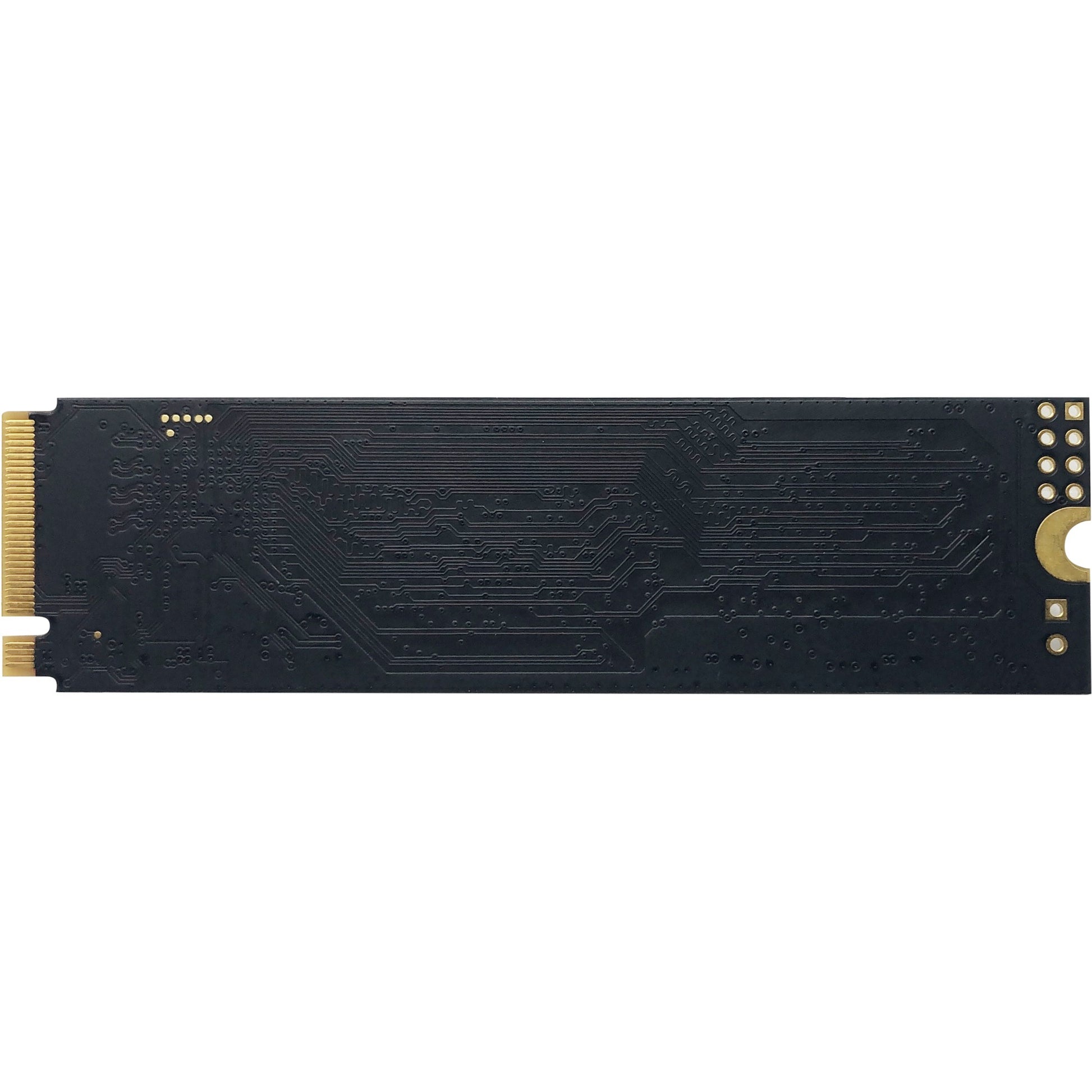 Patriot P300 256 Go