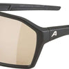 Alpina ram q-lite v - lunettes de sport
