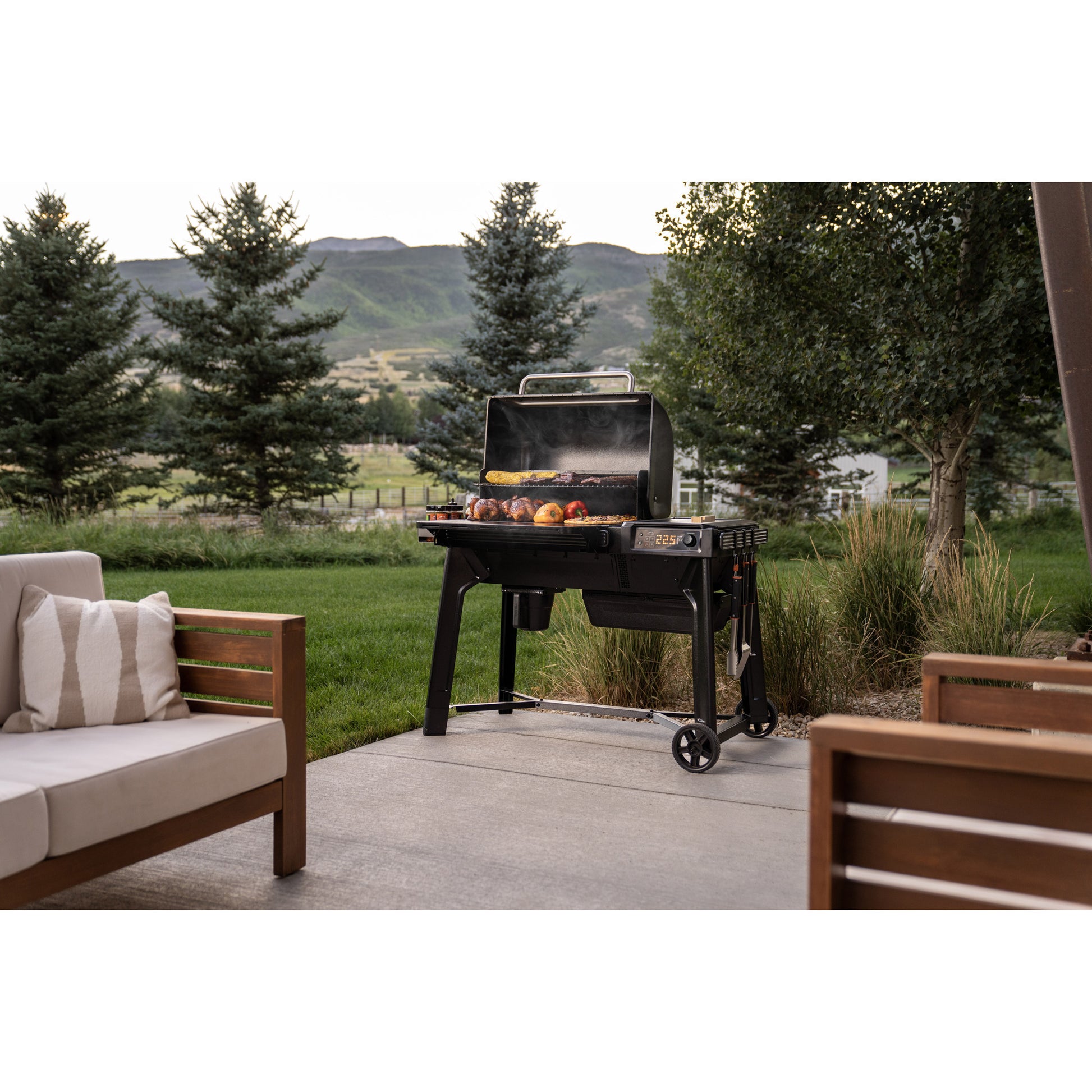 Barbecue à granulés Traeger Woodridge (noir, wifire)