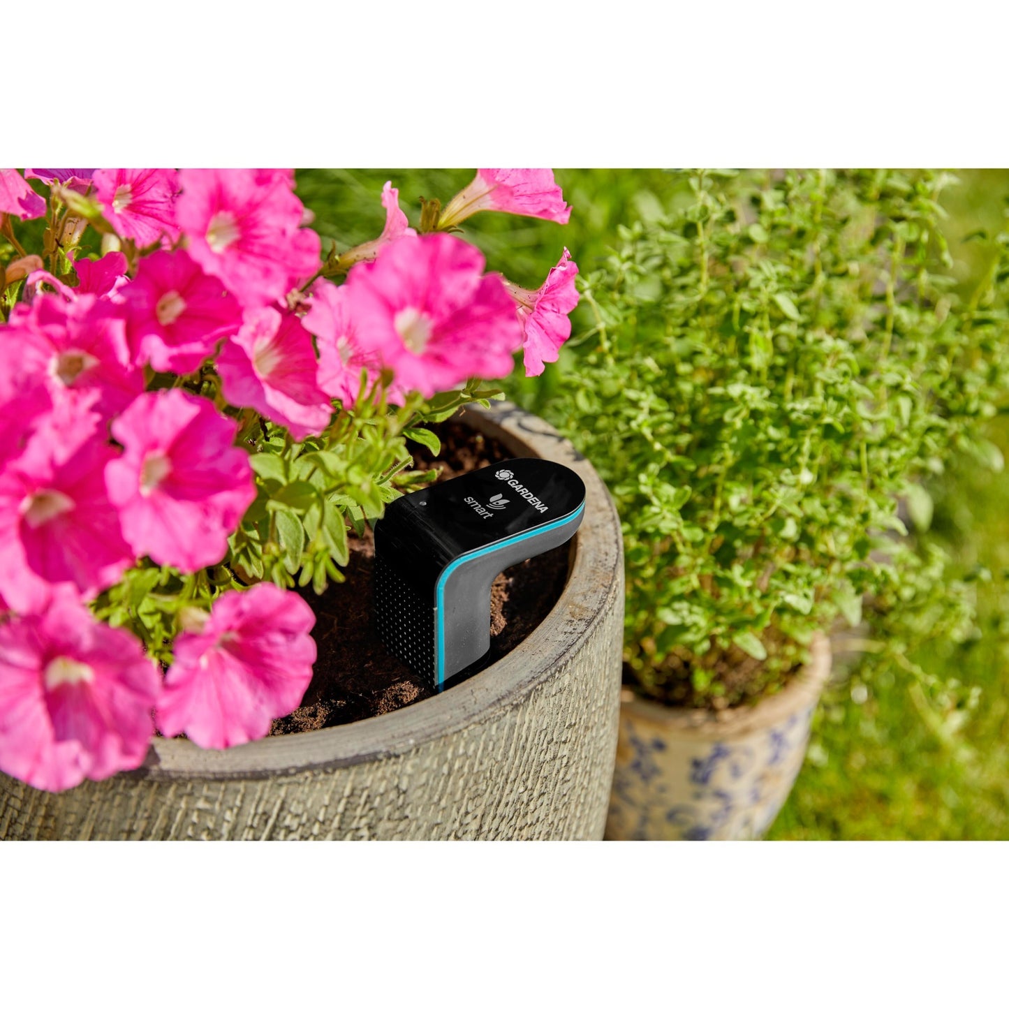 Capteur Gardena