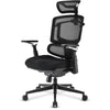 Chaise Sharkoon officepal c50 (noir)