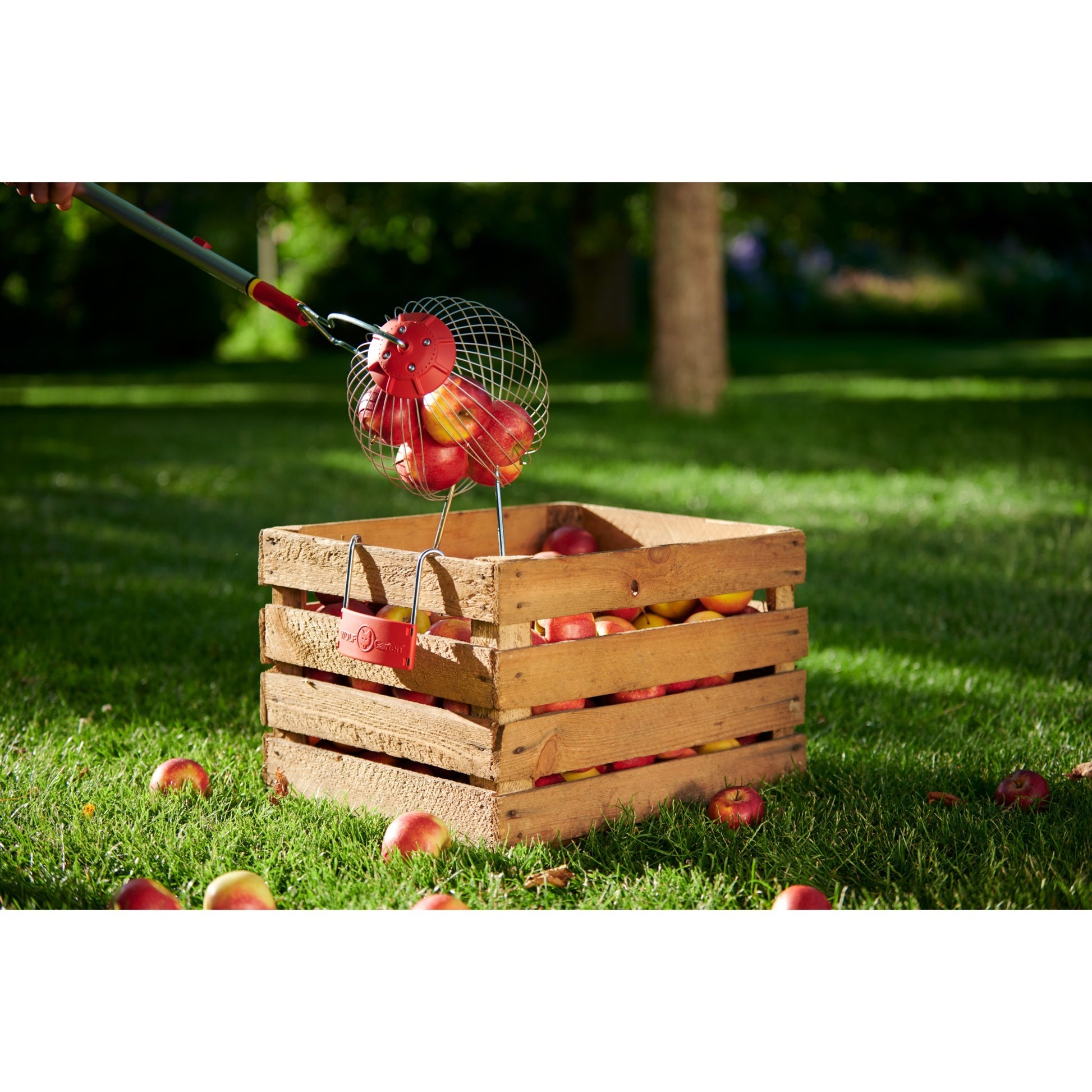 Collecteur de fruits FC-M Wolf-Garten