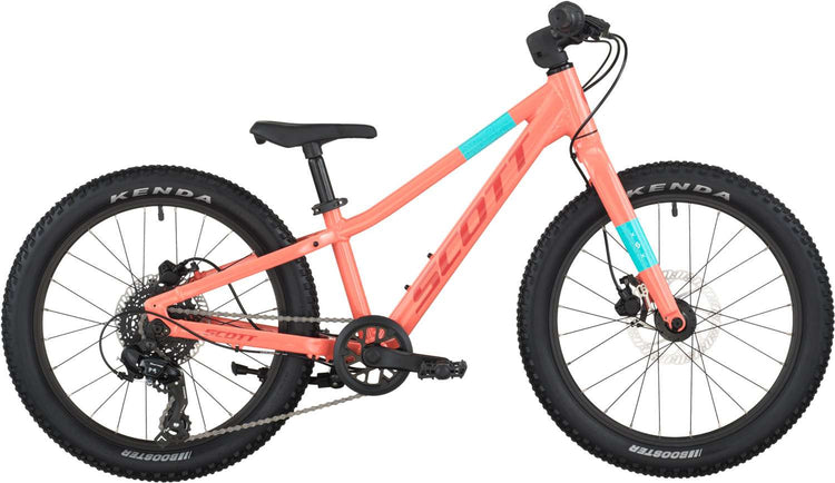 Échelle Scott 200