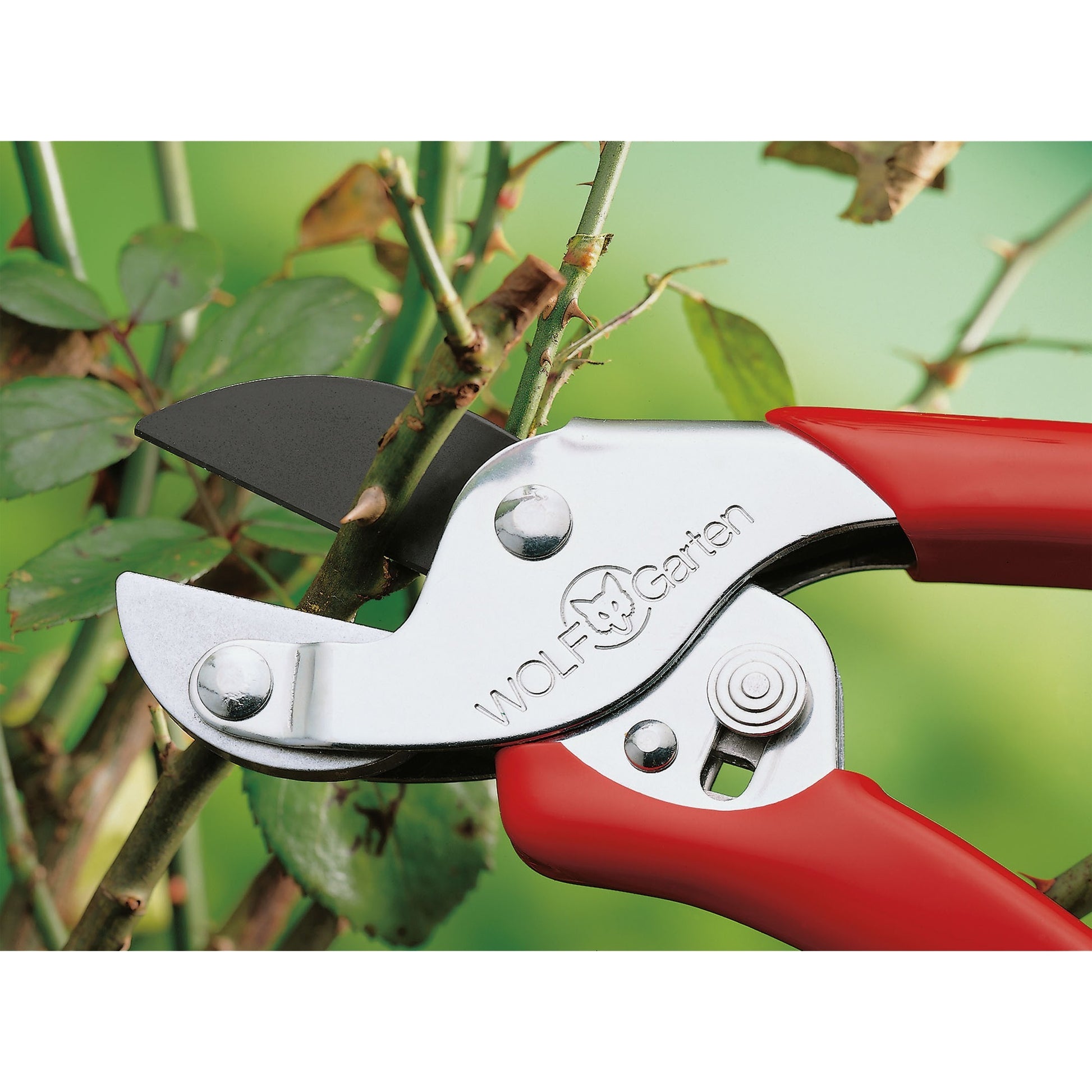 Wolf-Garten RS et Shared Shears
