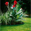 Gardena Gazon Adges (vert)