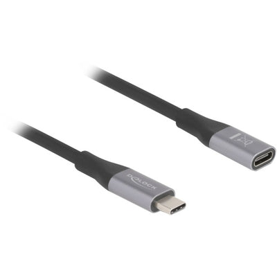 Delock Câble d'extension USB-C 40 Gbps, PD 3.1, 240 W, 2 mètres (gris noir)