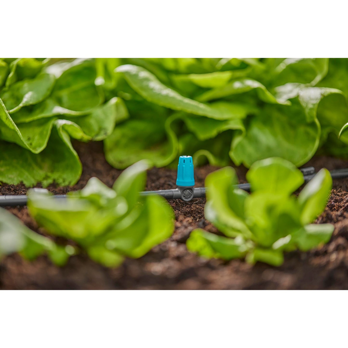 Pulvérisateur Gardena pour petites surfaces