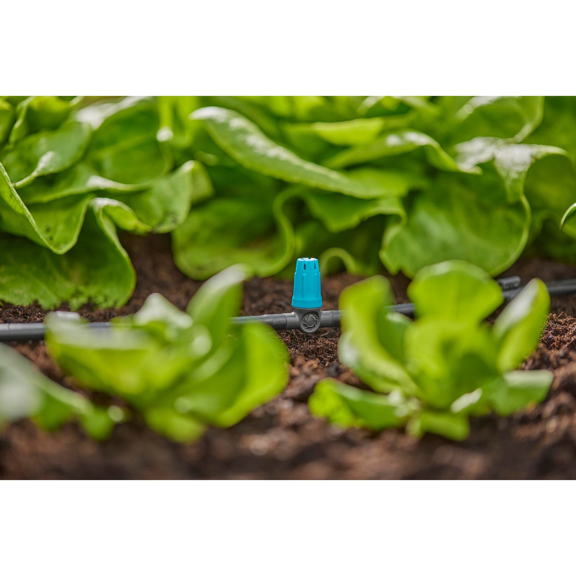 Pulvérisateur Gardena pour petites surfaces