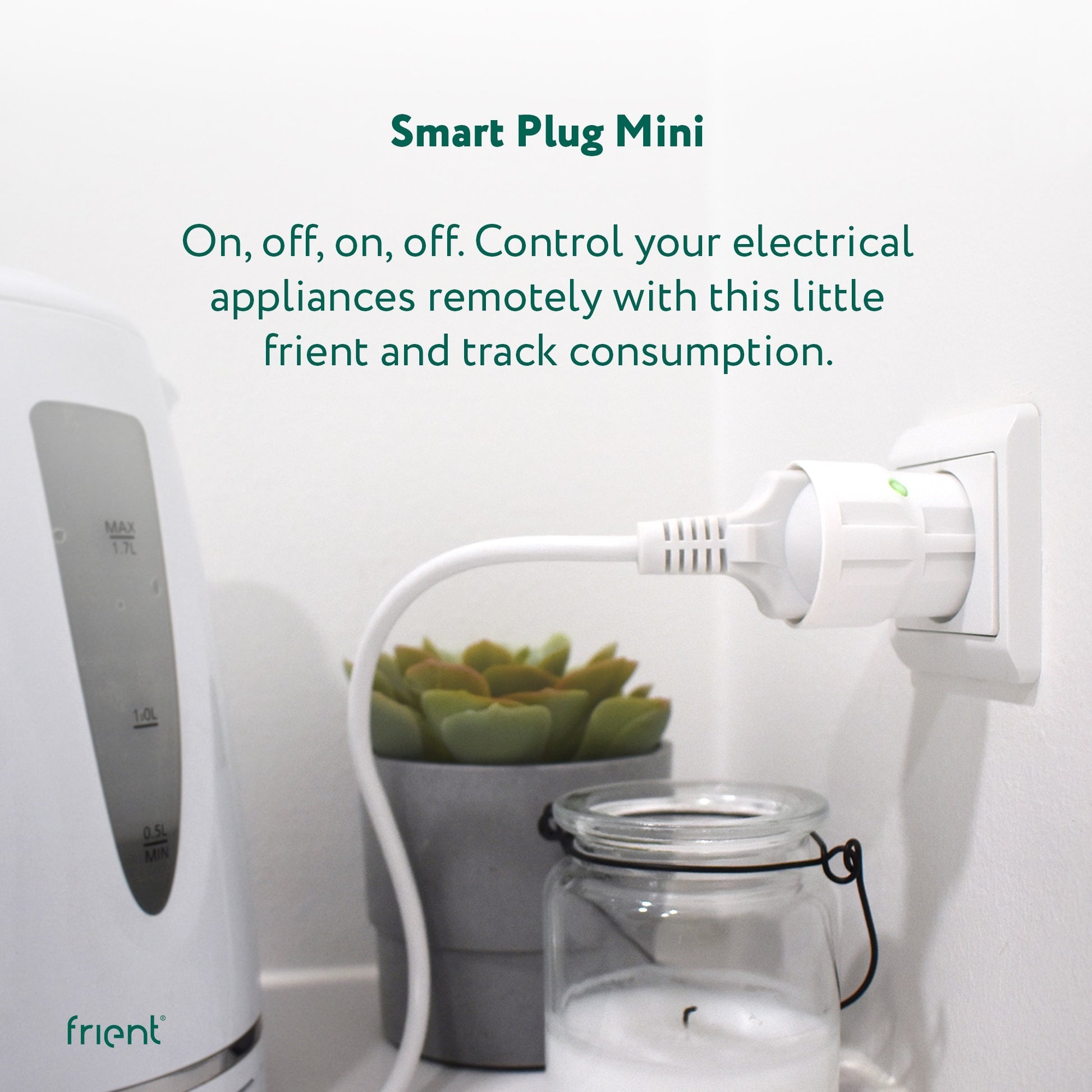 Friend Plug Mini 2 Type E (français)