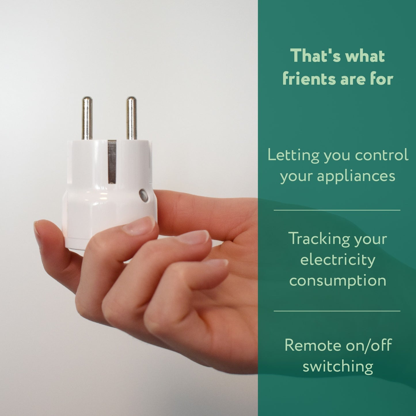 Friend Plug Mini 2 Type E (français)