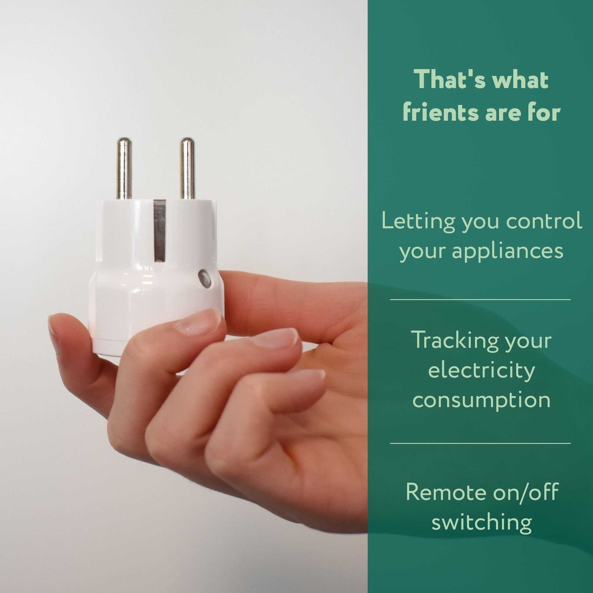 Friend Plug Mini 2 Type E (français)