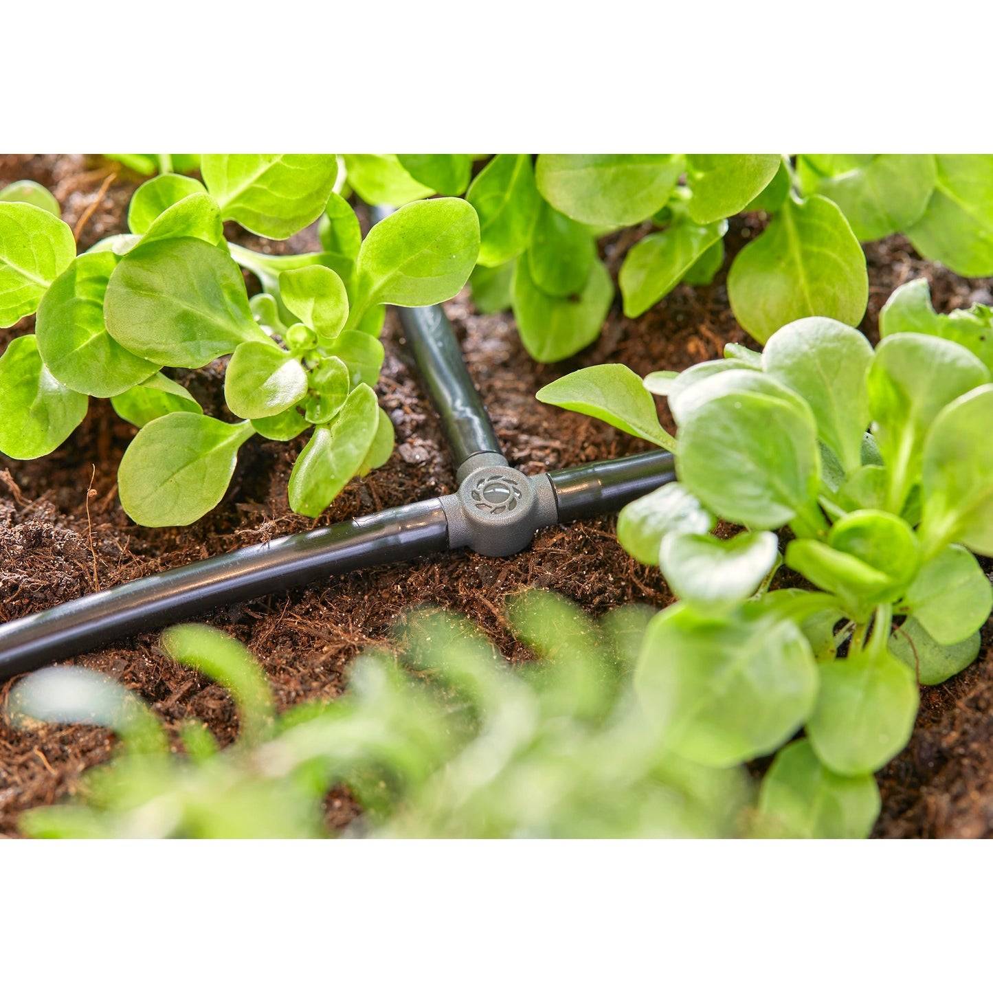 T-pice Gardena 4,6 mm (3 16)