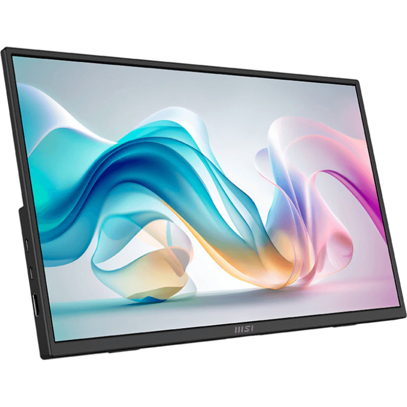 Moniteur Msi pro mp165 e6 15,6 (noir, hdmi, 2x usb-c)