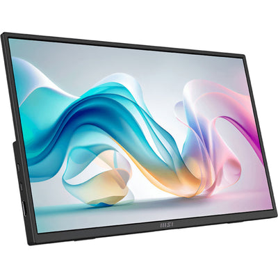 Moniteur Msi pro mp165 e6 15,6 (noir, hdmi, 2x usb-c)