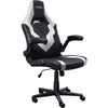 Trust GXT 703W Riye Gaming Chair