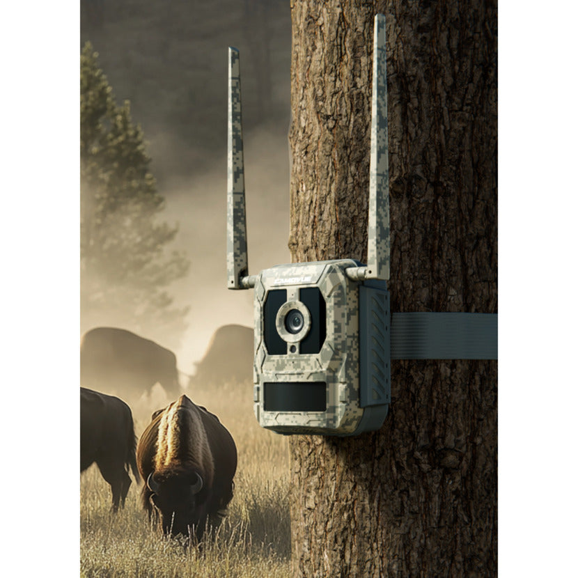 Reolink S130, caméra animalière 4K 8MP 4G LTE avec vue en direct et vision nocturne starlight (couleur camouflage)