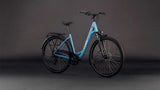 Cube visitant un bluebird'n'grey, entrée facile - afbeelding 2