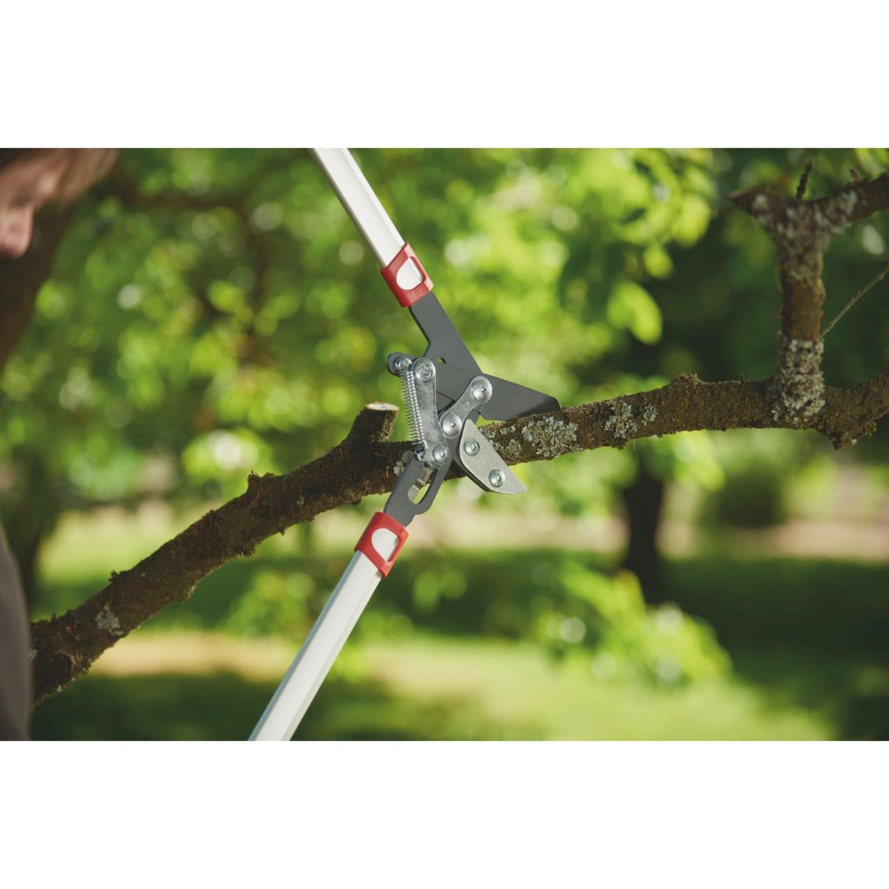 Wolf-Garten Cut Rs 800 V