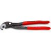 Tang Tang Raptor 8741250