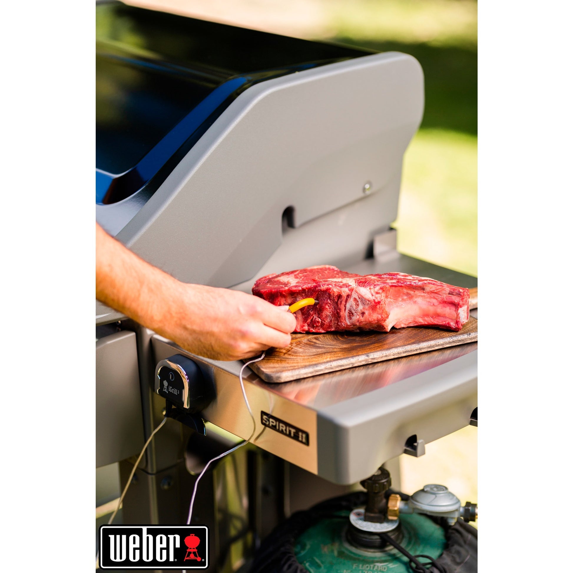 Weber Igrill 2