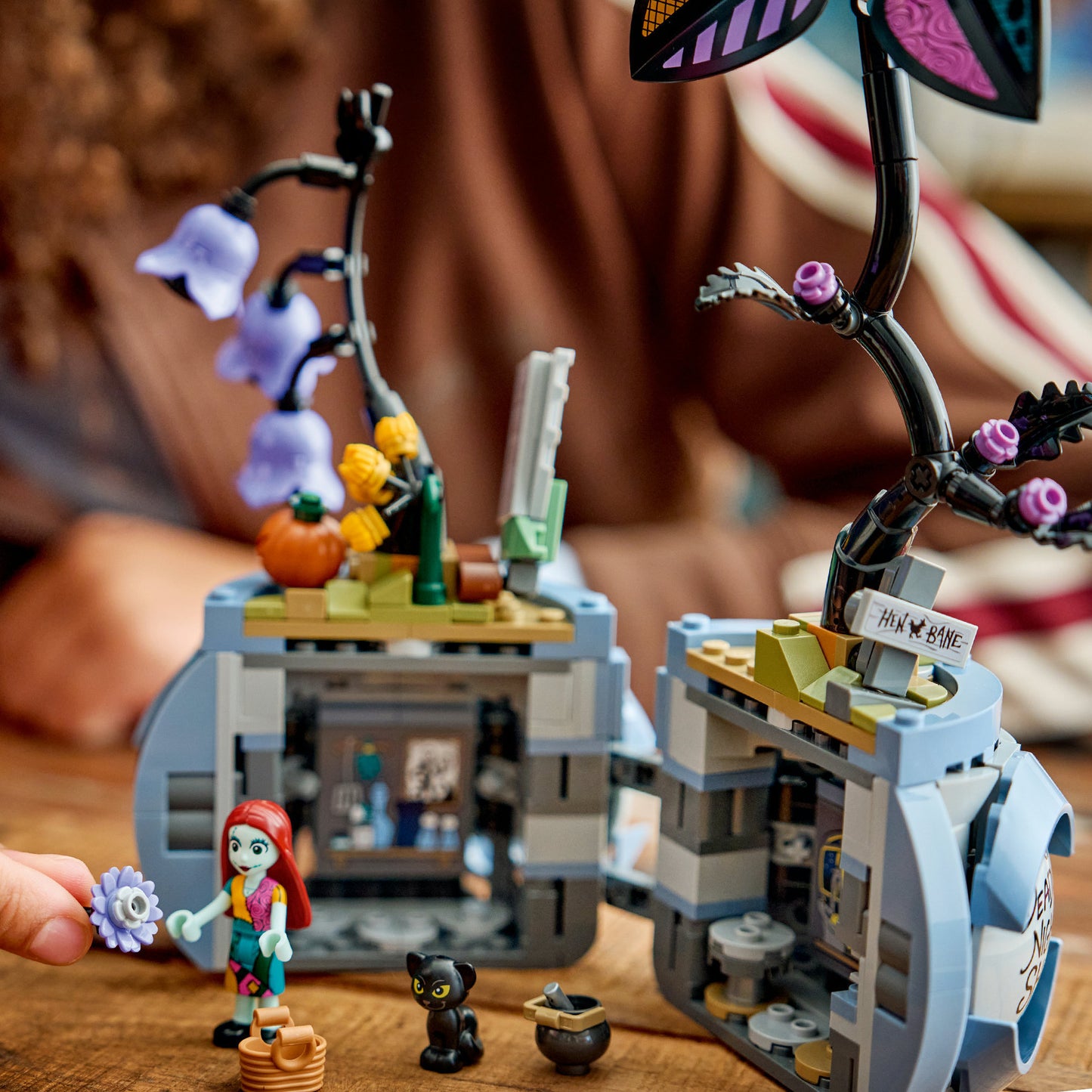 Lego Disney 43288 Le pot de fleur de Sally