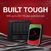 Seagate Ironwolf 20 To