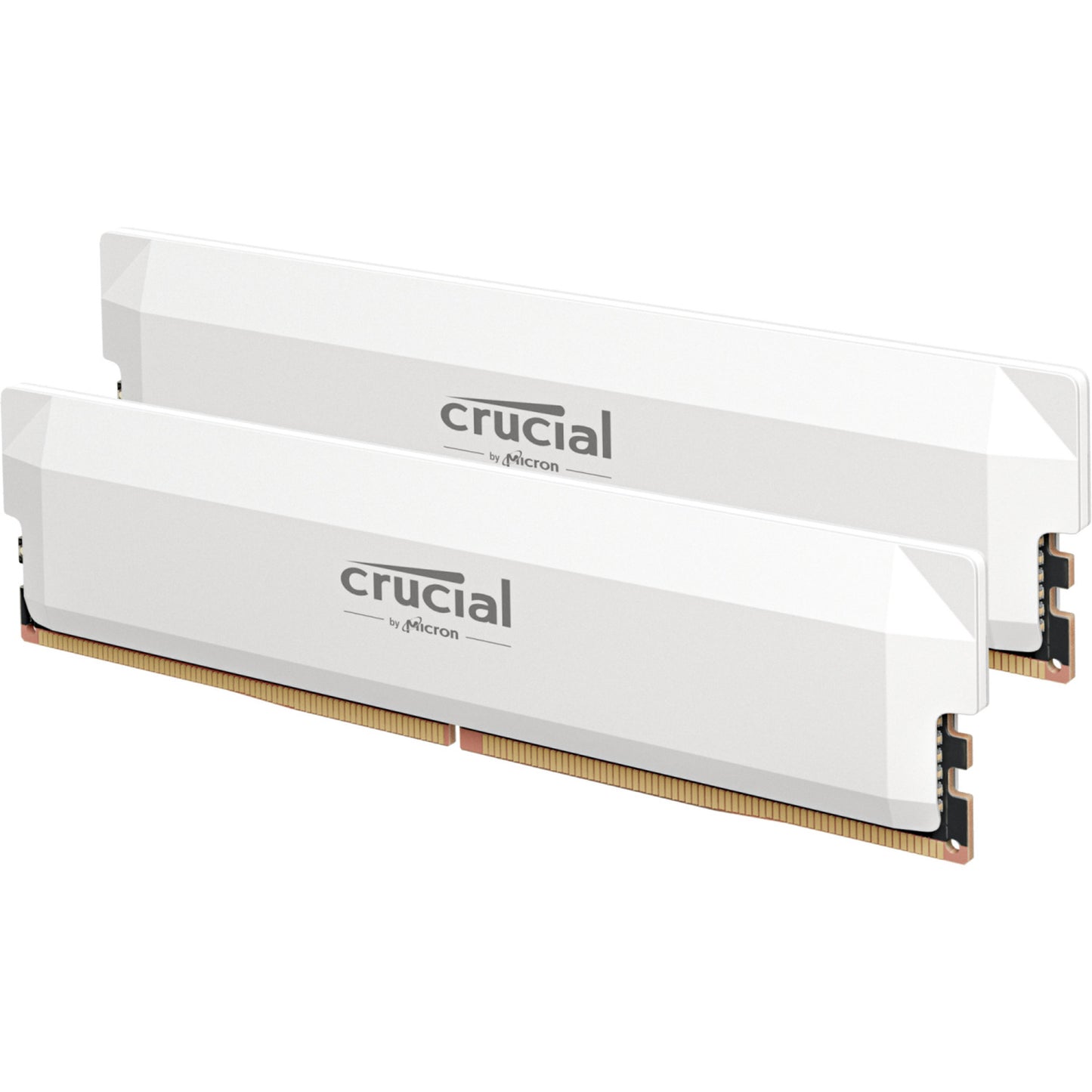 32 Go crucial DDR5-6000 (2x 16 Go) double kit