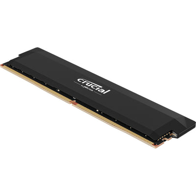 Crucial 16 Go de RAM DDR5-6000 (noir, CP16G60C36U5B, Pro, XMP 3.0, Expo)