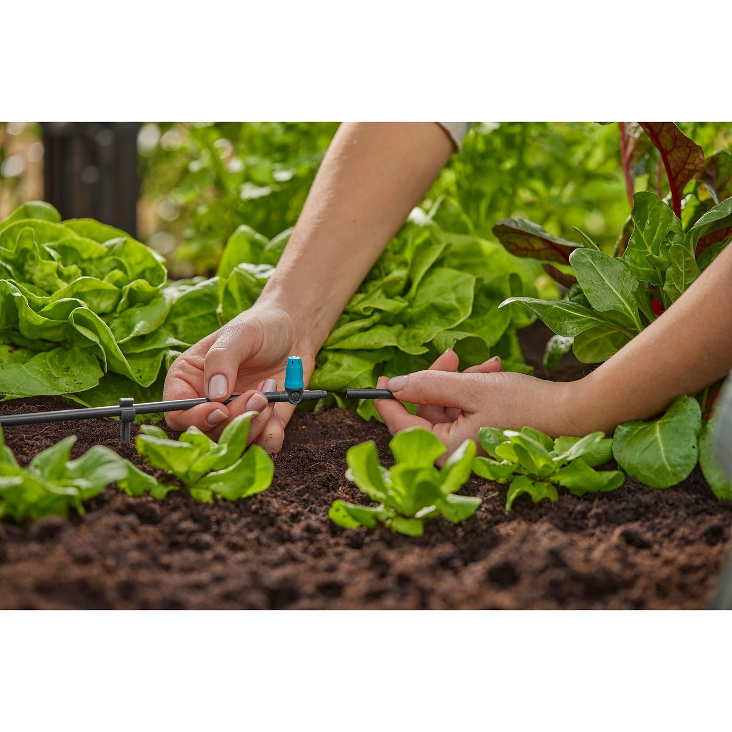 Pulvérisateur Gardena pour petites surfaces