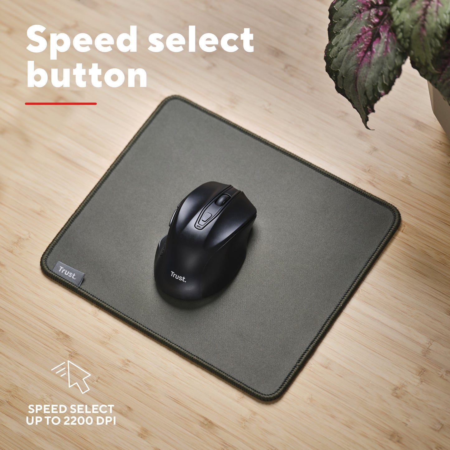 Souris sans fil silencieuse Trust Nito (noir, 800 - 2 200 dpi)