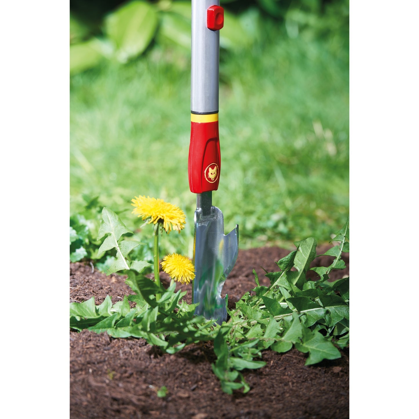 Wolf-Garten Multi-Star IW-M Distelsteker