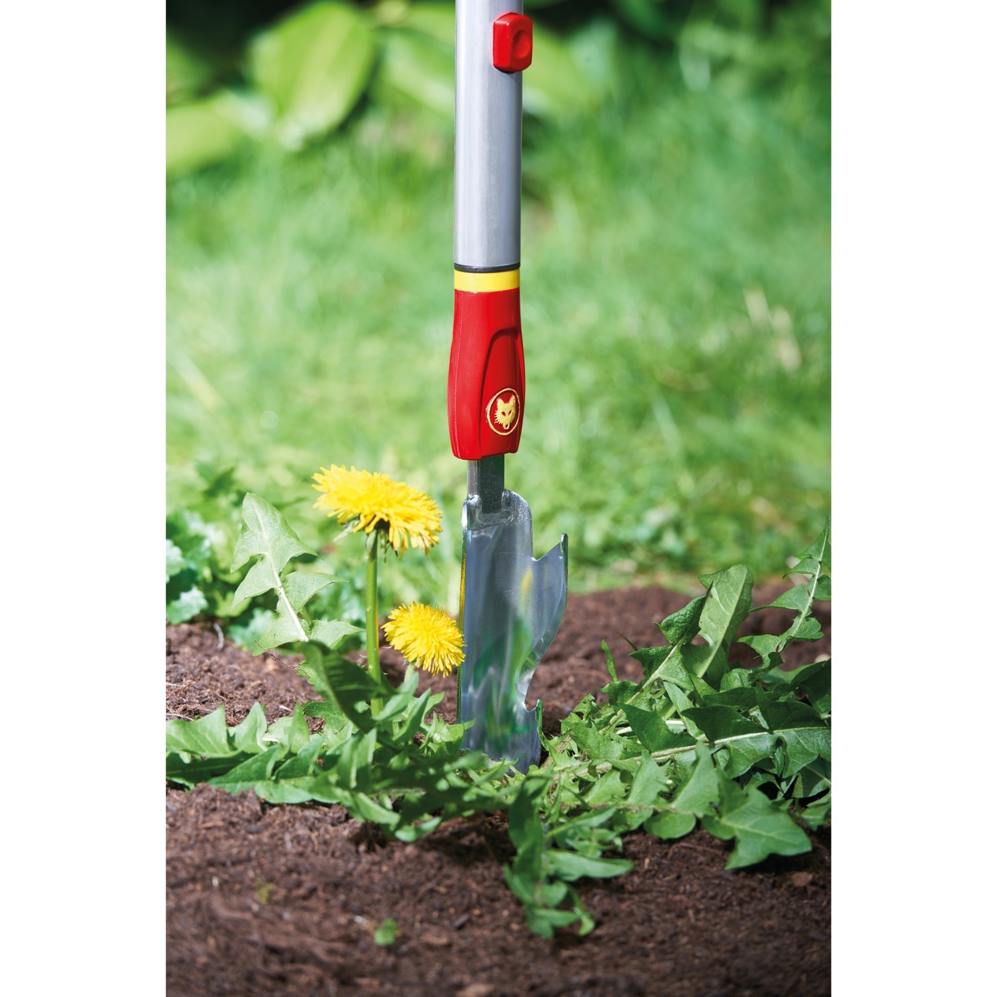Wolf-Garten Multi-Star IW-M Distelsteker