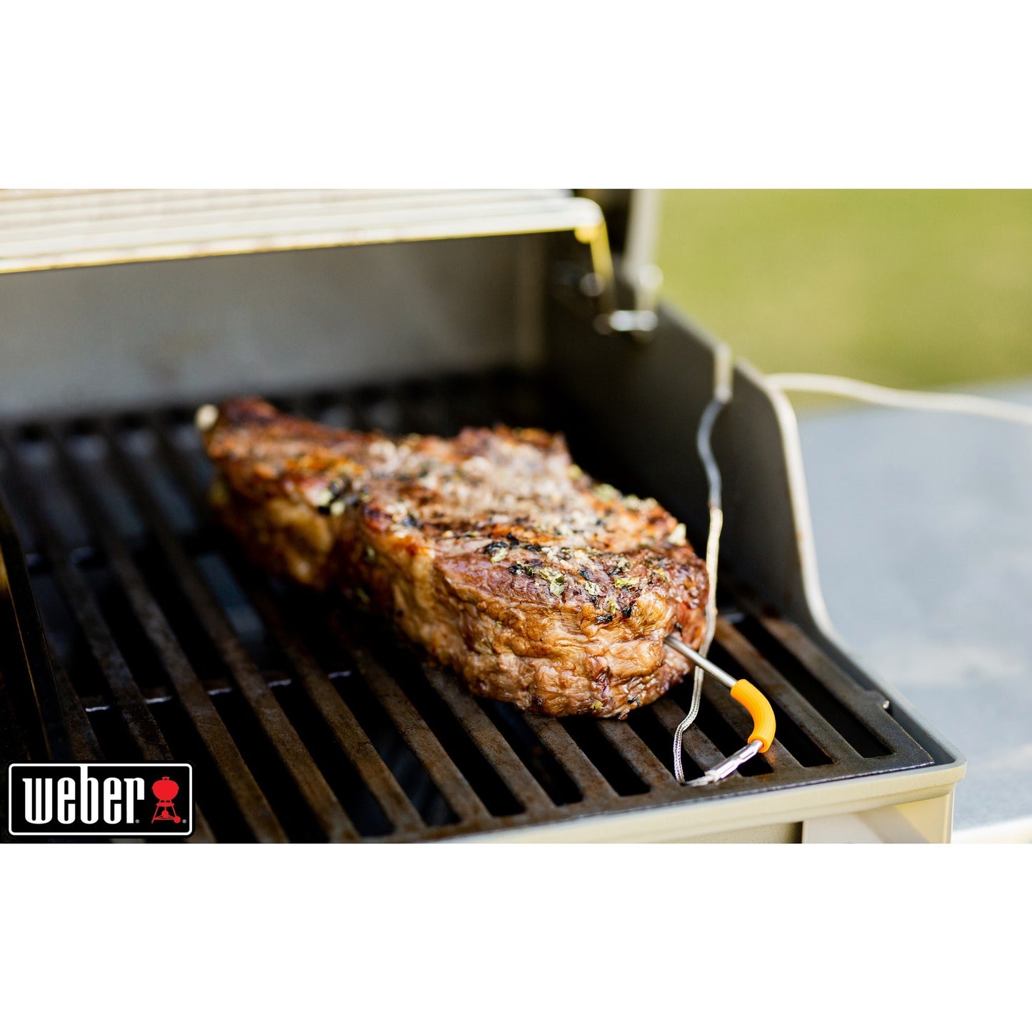 Weber Igrill 2