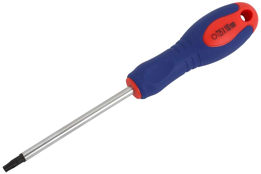 Tournevis Torx Radon Pro