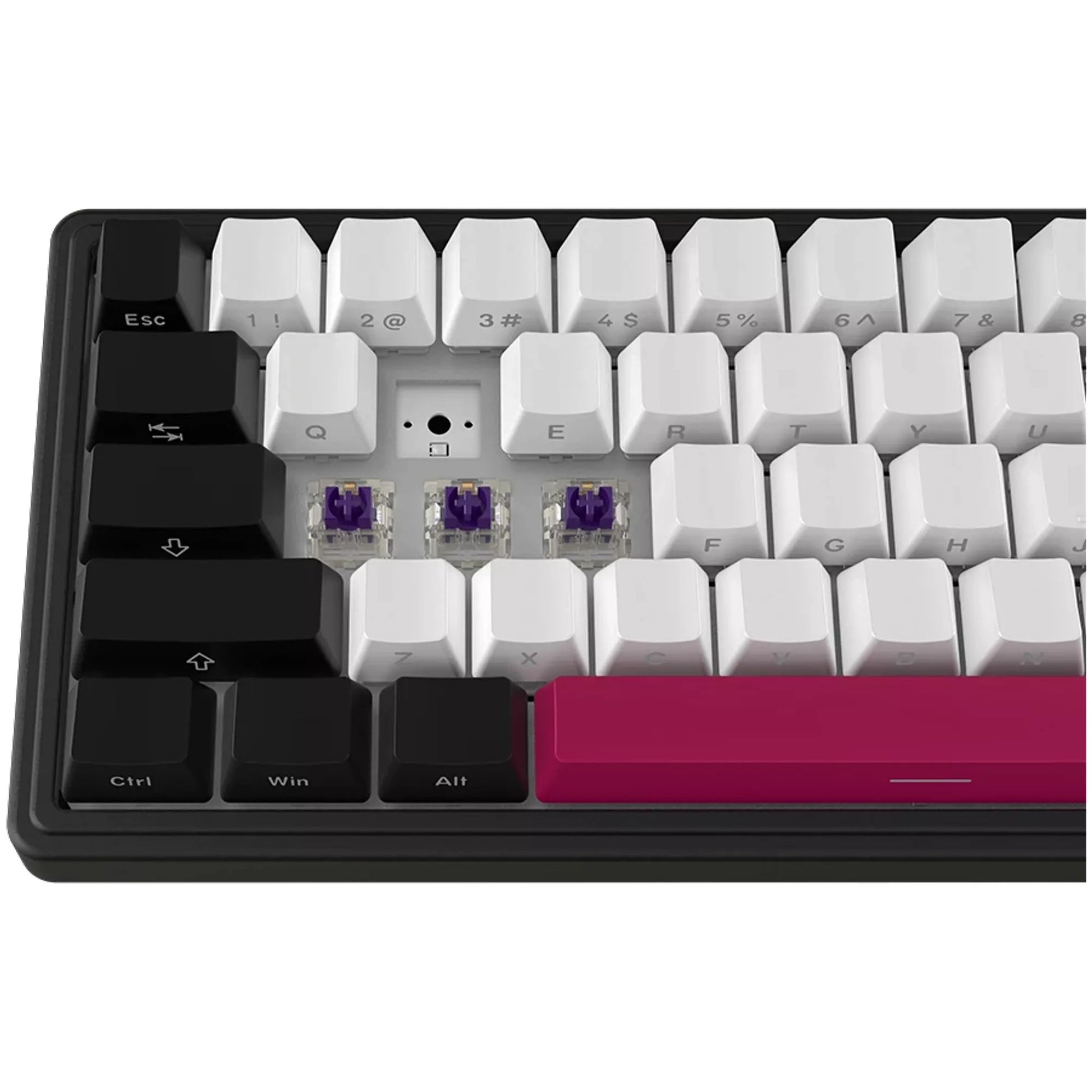 Lorgar kbp70mw, clavier de jeu (noir, disposition américaine, violet toxique logar, 65%, rvb, remplaçable à chaud, pbt double-shot, bluetooth 2.4ghz usb)