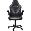 Trust GXT 703 Riye Gaming Chair