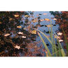 Ubbink Ubbink Vijvernet PE 5x6 M 1064345