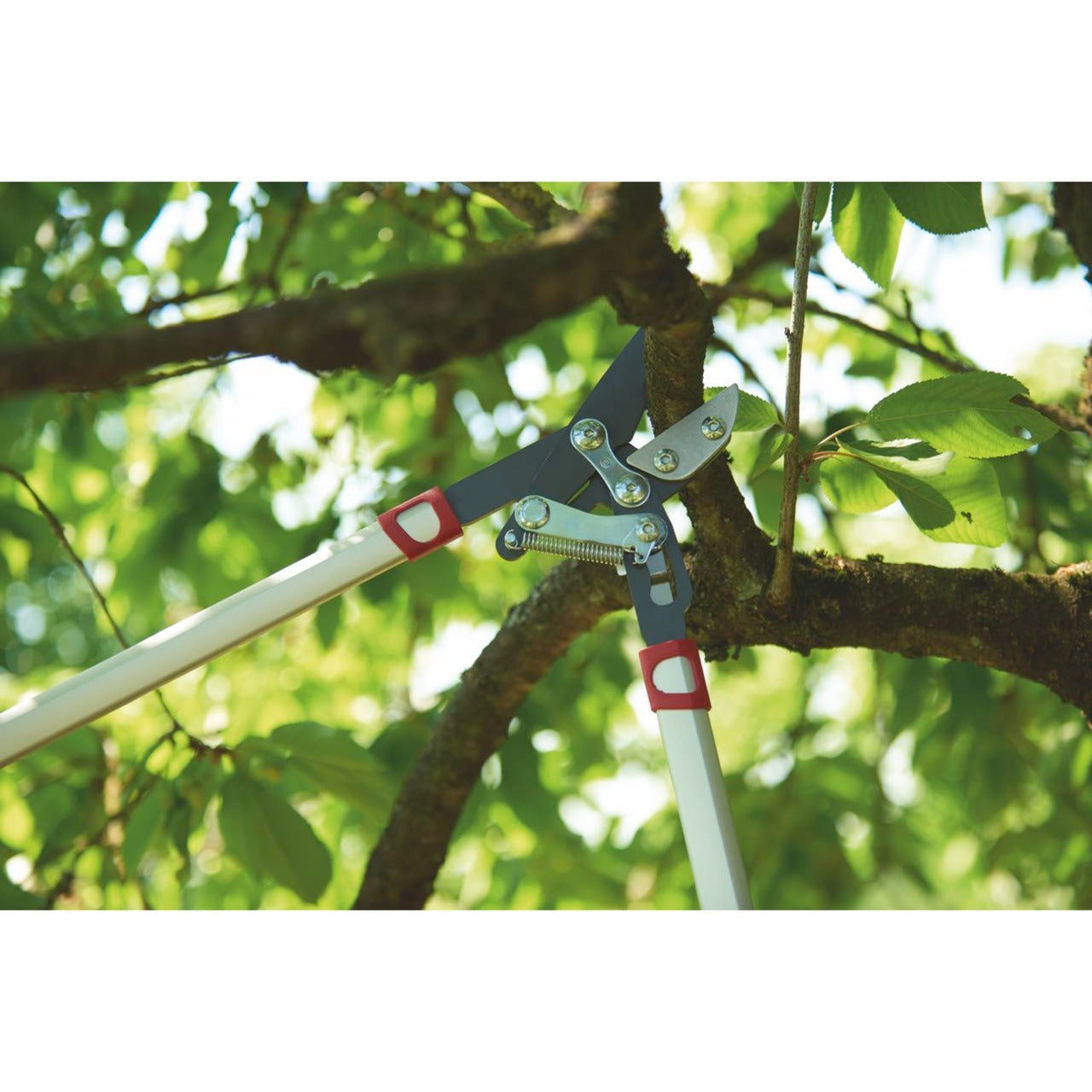 Wolf-Garten Cut Rs 800 V