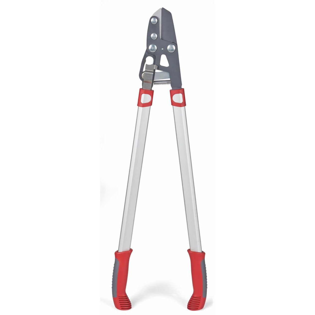 Wolf-Garten Cut Rs 800 V