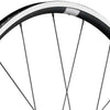 Roue avant Dt swiss pr 1400 dicut 21mm