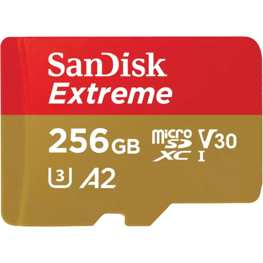 SANDISK Microsdxc 256 Go