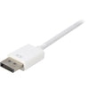 Sharkoon DisplayPort 1.2> DVI24 + 1