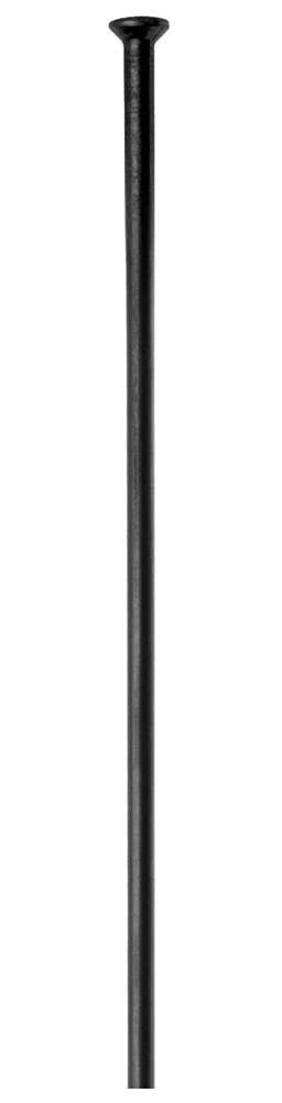 Rayons Dt Swiss Champion® Straightpull 2.0 (100 pièces)